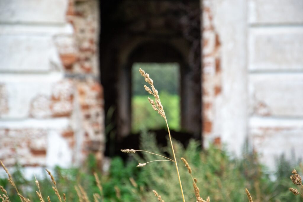 grass and old brick building