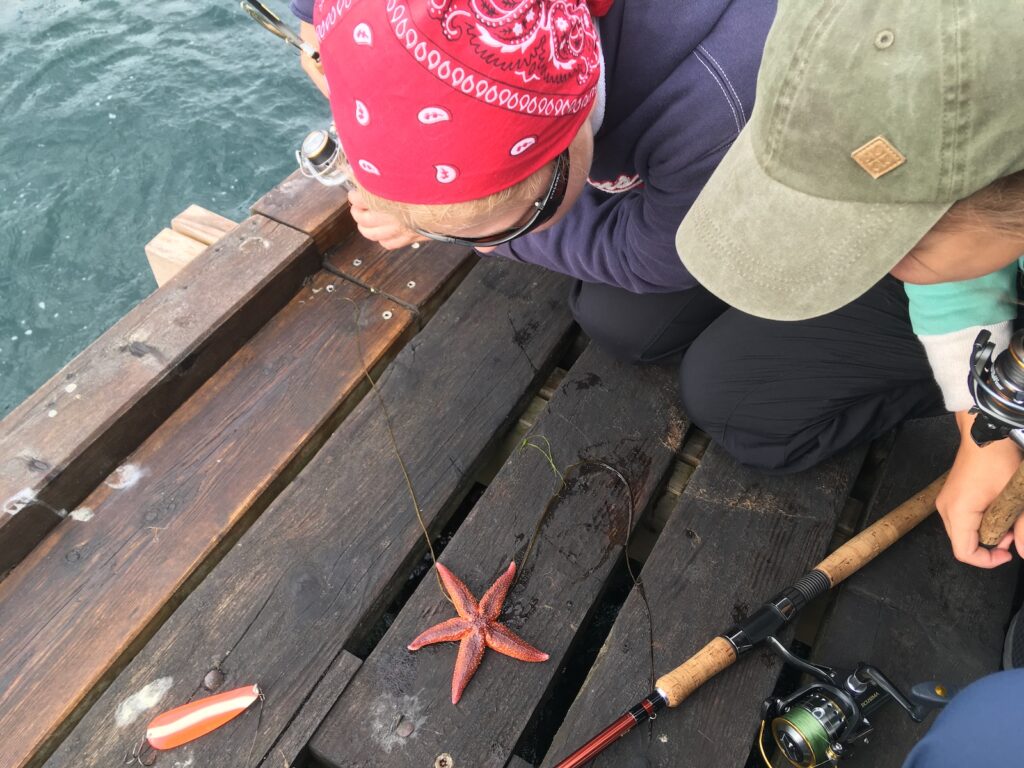 kids looking at starfish